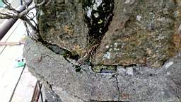 stcronans 1070.jpg